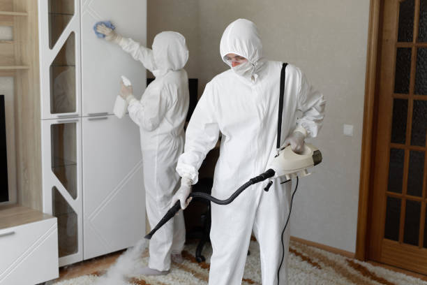 Best Mold Remediation for Rental Properties  in Quinlan, TX